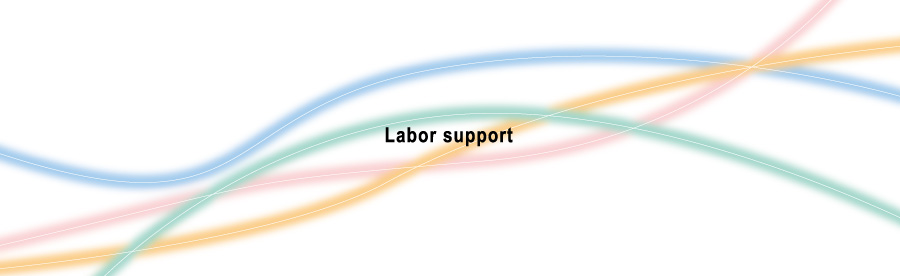 Labor support